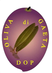 logo oliva di Gaeta