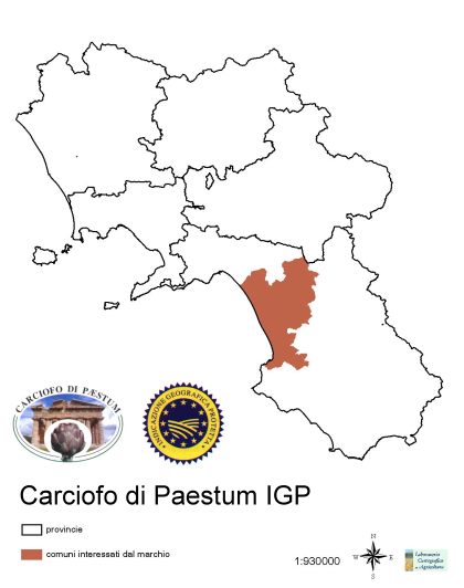 area di produzione carciofo paestum