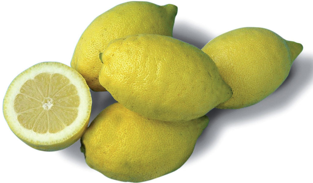 limone di Procida
