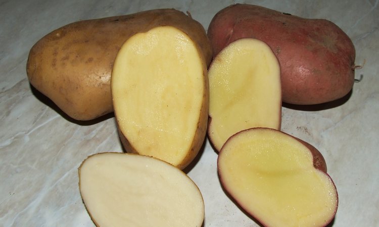 patata di monte san giacomo