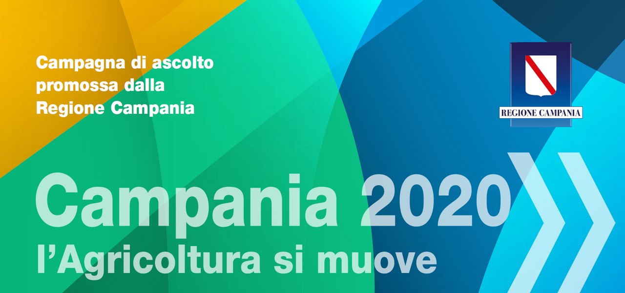 banner campania 2020