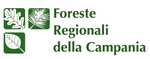 logo foreste demaniali