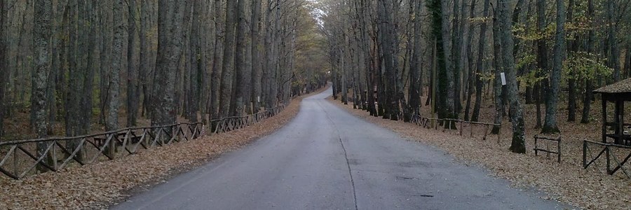 strada rurale