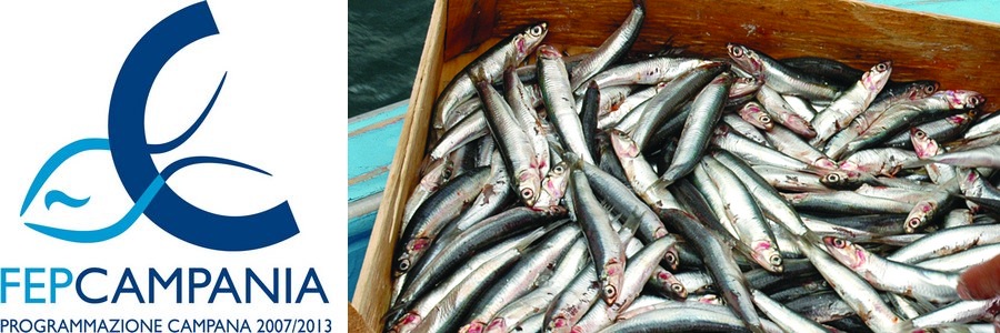 banner fondo europeo pesca