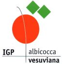 logo albicocca vesuviana